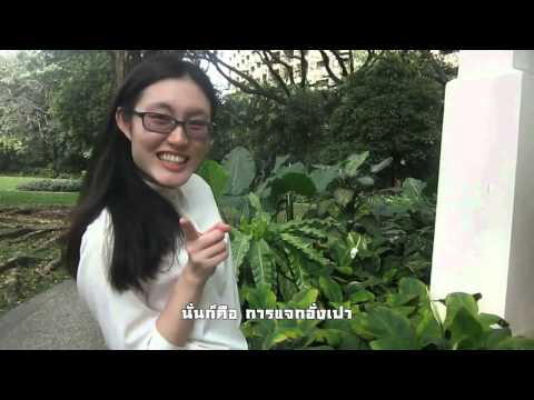 ลูกมังกรสอนจีน#2:春节[ตรุษจีน]