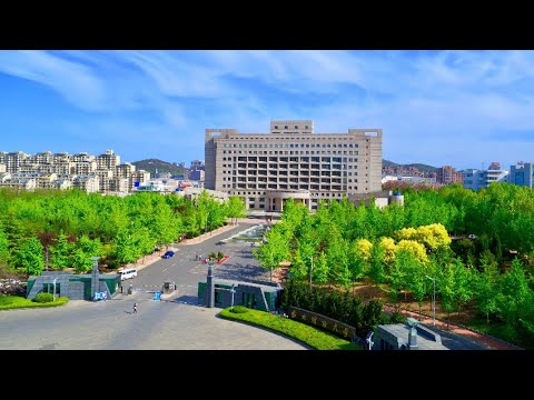 Dongbei University of Finance and Economics (东北财经大学)