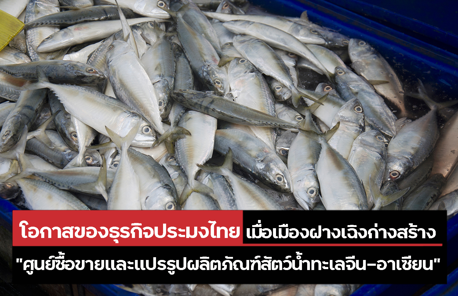 โอกาสของธุรกิจประมงไทย เมื่อเมืองฝางเฉิงก่างสร้าง “ศูนย์ซื้อขายและแปรรูปผลิตภัณฑ์สัตว์น้ำทะเลจีน-อาเซียน” – ศูนย์บริการข้อมูลธุรกิจไทยในจีน (Thailand Business Information Center in China)