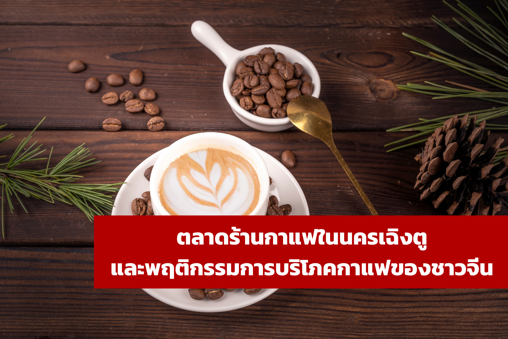 ตลาดร้านกาแฟในนครเฉิงตู และพฤติกรรมการบริโภคกาแฟของชาวจีน – ศูนย์บริการข้อมูลธุรกิจไทยในจีน (Thailand Business Information Center in China)