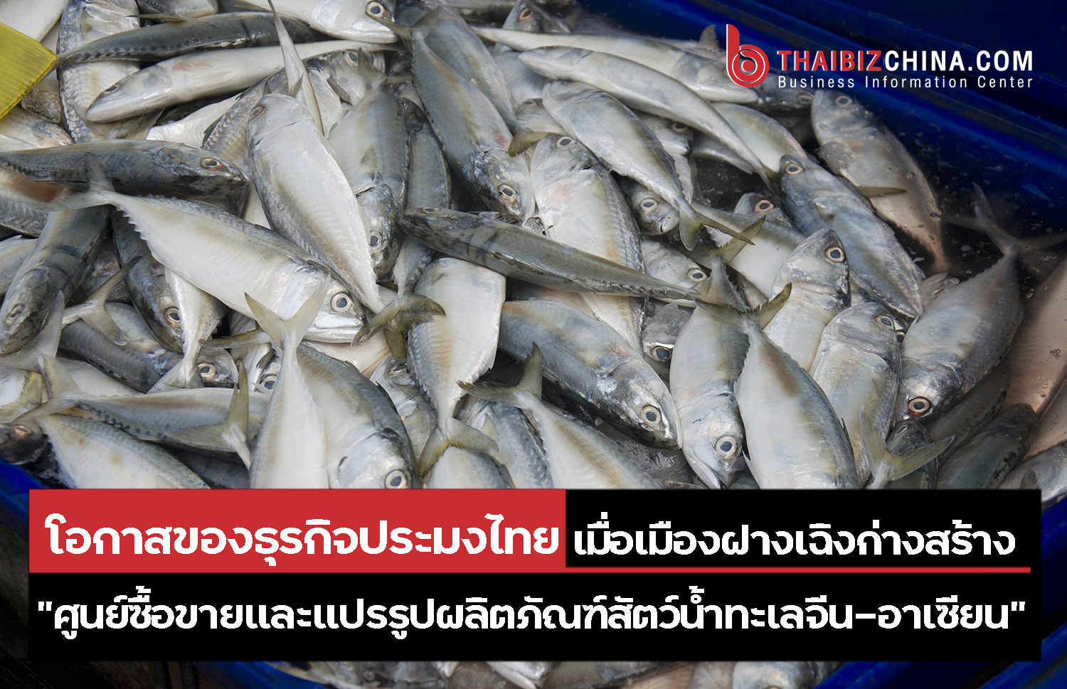 โอกาสของธุรกิจประมงไทย เมื่อเมืองฝางเฉิงก่างสร้าง “ศูนย์ซื้อขายและแปรรูปผลิตภัณฑ์สัตว์น้ำทะเลจีน-อาเซียน” – thaibizchina