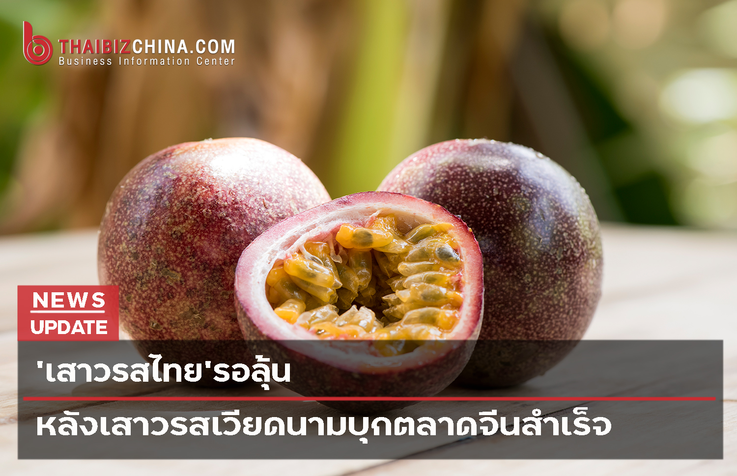 ‘เสาวรสไทย’รอลุ้น หลังเสาวรสเวียดนามบุกตลาดจีนสำเร็จ – thaibizchina