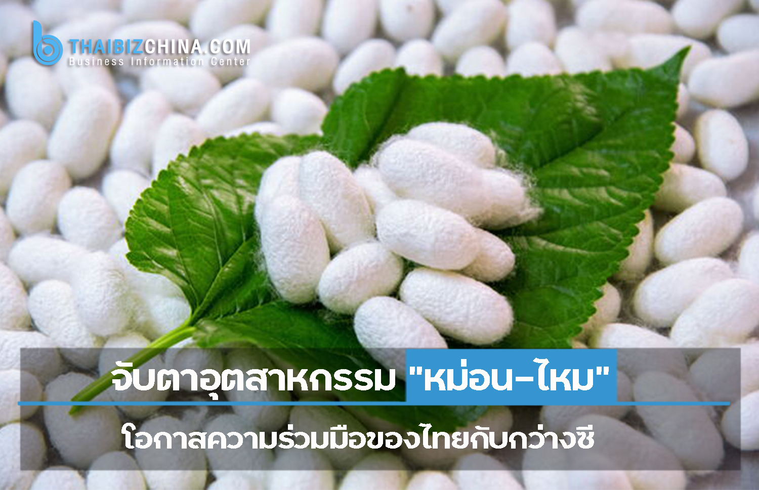 จับตาอุตสาหกรรม “หม่อน-ไหม” โอกาสความร่วมมือของไทยกับกว่างซี – thaibizchina