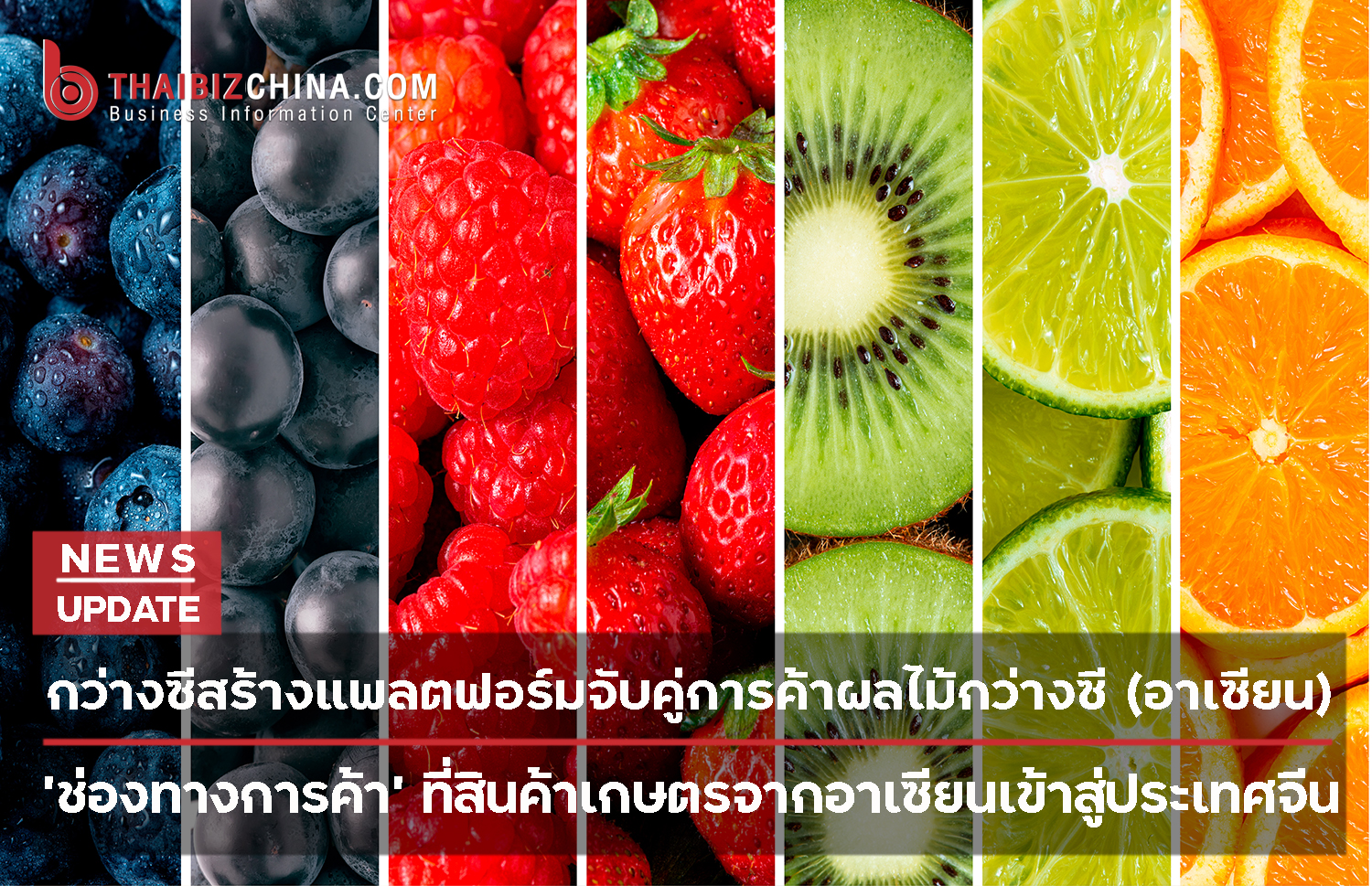 กว่างซีสร้างแพลตฟอร์มจับคู่การค้าผลไม้กว่างซี (อาเซียน) – thaibizchina