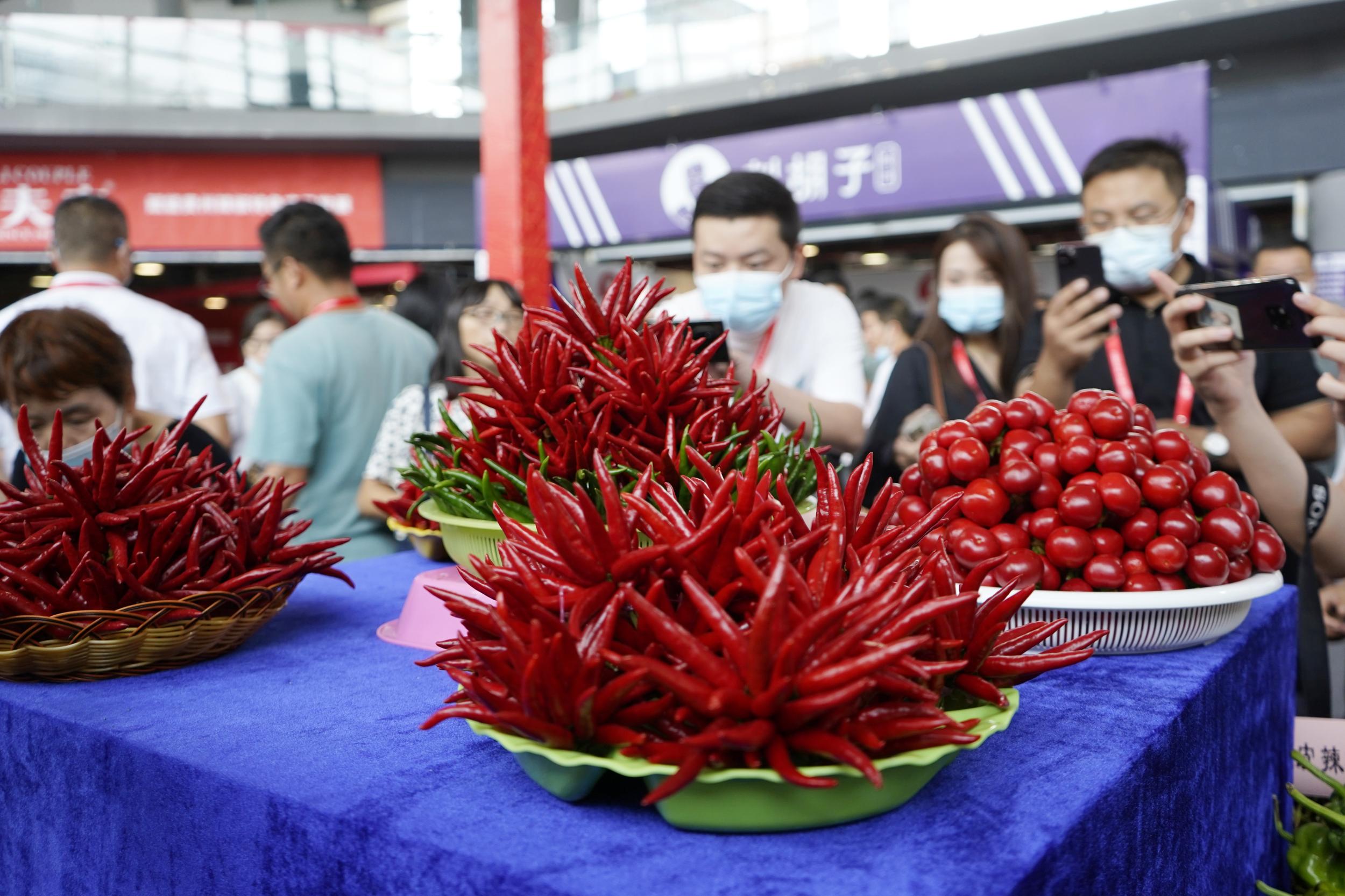 กุ้ยโจวจัดงานมหกรรมพริกนานาชาติครั้งที่ 7 มุ่งส่งเสริมการพัฒนาอุตสาหกรรมพริกคุณภาพสูง – thaibizchina